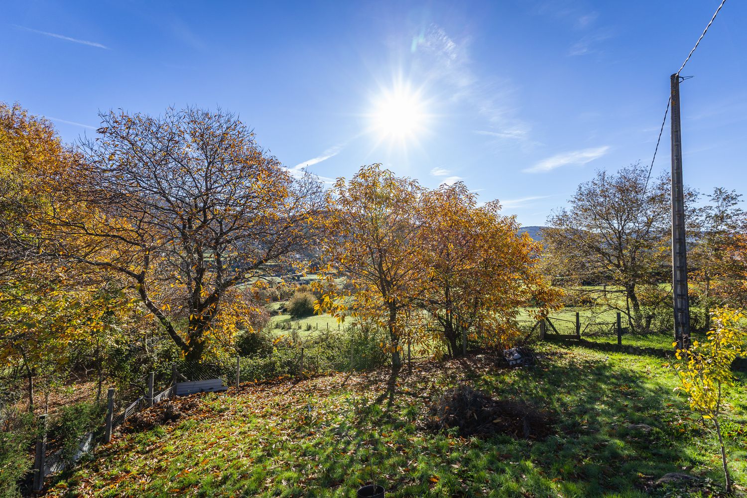 Otoño frente a la casa